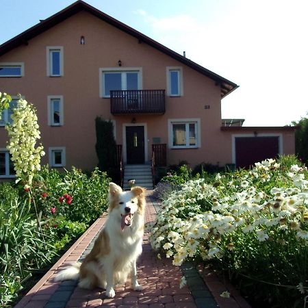 Agroturystyka U Basi Wola Kalinowska エクステリア 写真