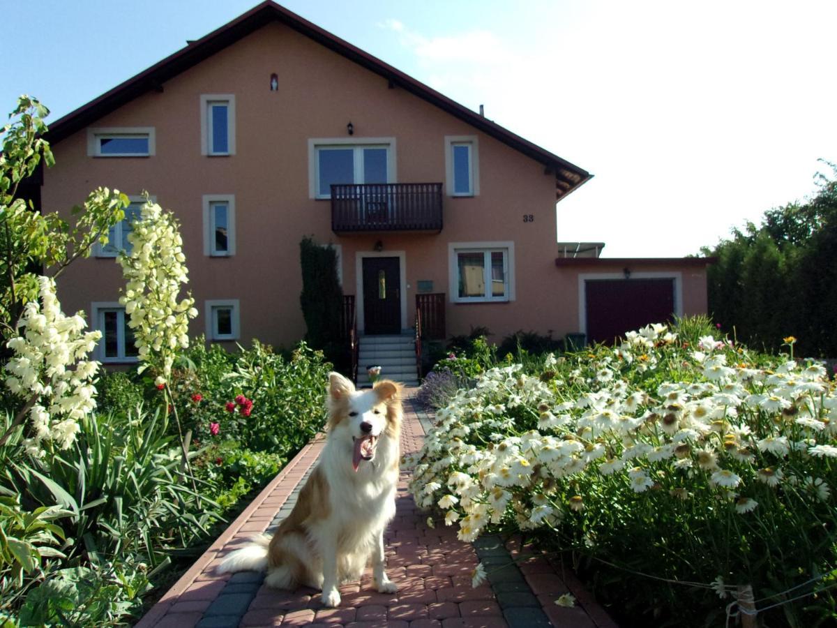 Agroturystyka U Basi Wola Kalinowska エクステリア 写真